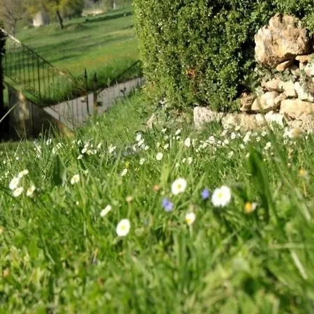 بيت للعطل House Domaine De Broual: Cote Donjon *